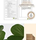 Vitamin B5 + Bifida Toner - 120ml