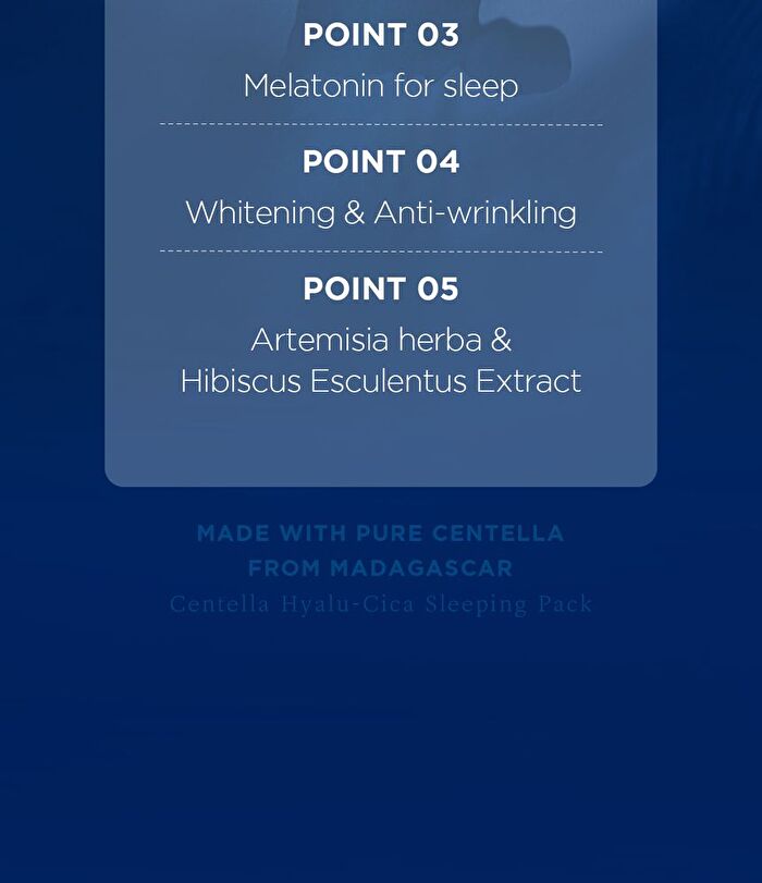 SKIN1004 Madagascar Centella Hyalu-Cica Sleeping Pack - 100ml