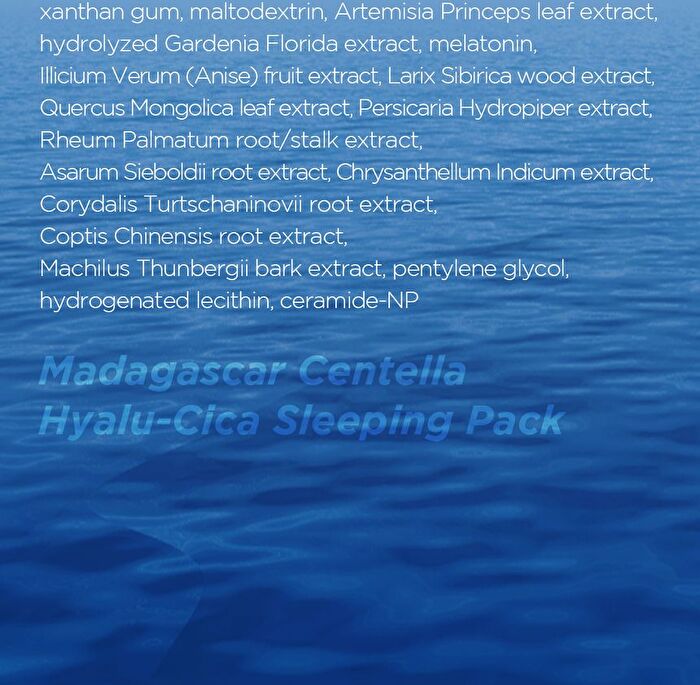 SKIN1004 Madagascar Centella Hyalu-Cica Sleeping Pack - 100ml