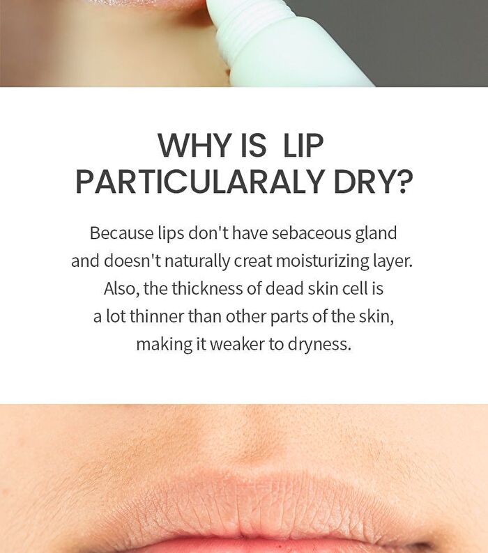 Moisturizing Lip Essence - 13g