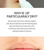 Moisturizing Lip Essence - 13g