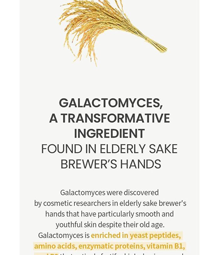 Galactomyces Ferment Filtrate Toner - 150ml