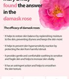 Rose Collagen Mist Serum - 100ml