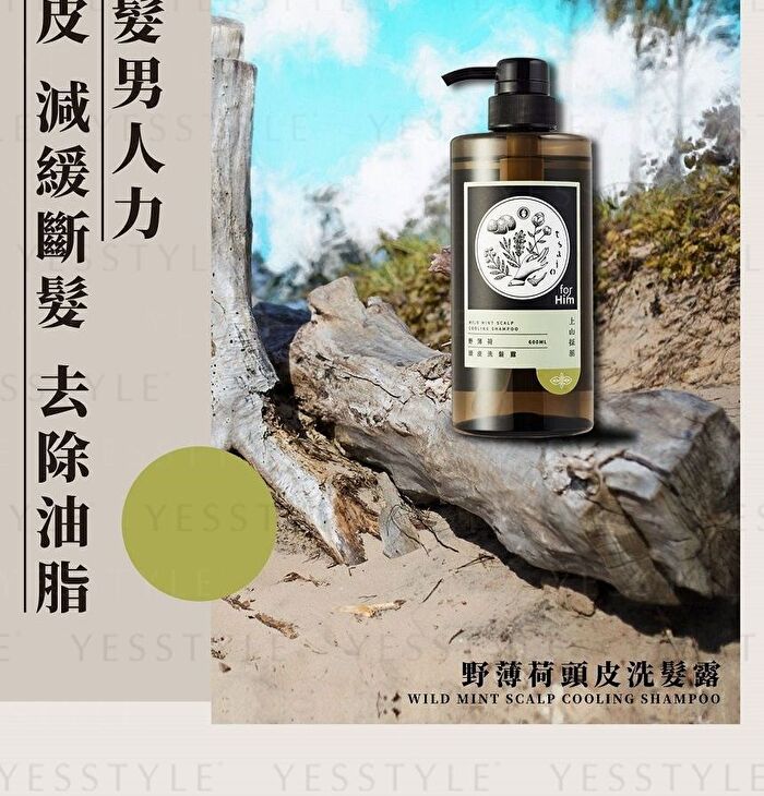Tsaio Shampoo For Men - Wild Mint Scalp Cooling - 600ml