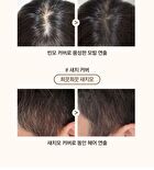 Quick Hair Cover Stick - 2 Colors - Natural Brown
