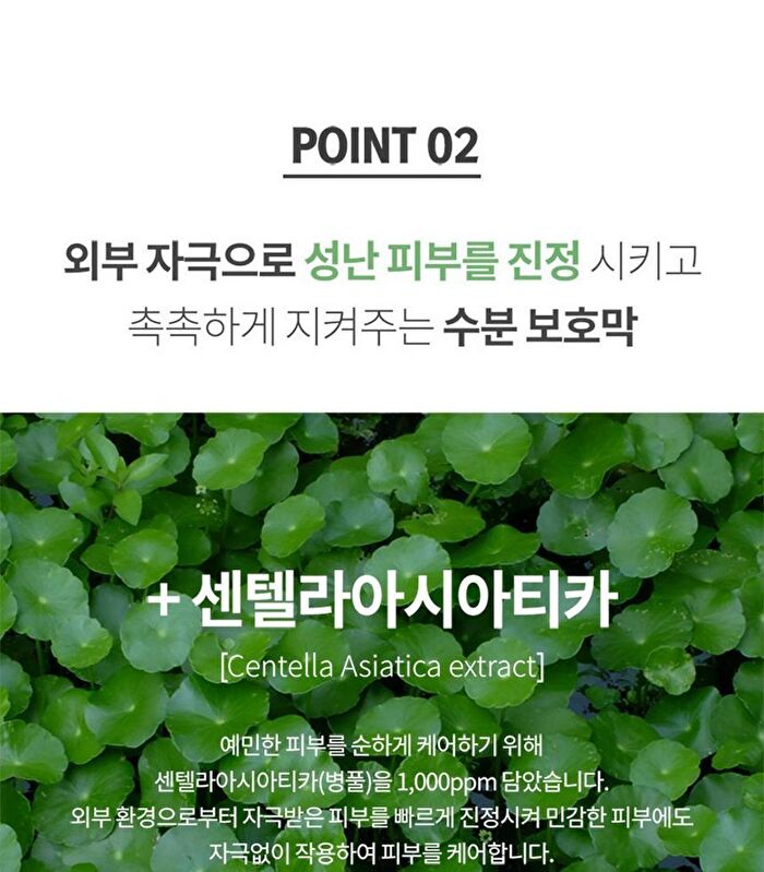 Green Cica Toner Pad - 70 pcs