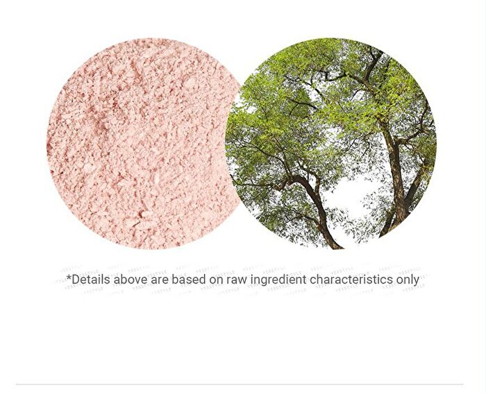 Pink Blur Tone Up Pact - 10g