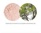Pink Blur Tone Up Pact - 10g