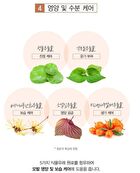 Naturekind Perfect Hair Cover Tattoo Tint - 10ml