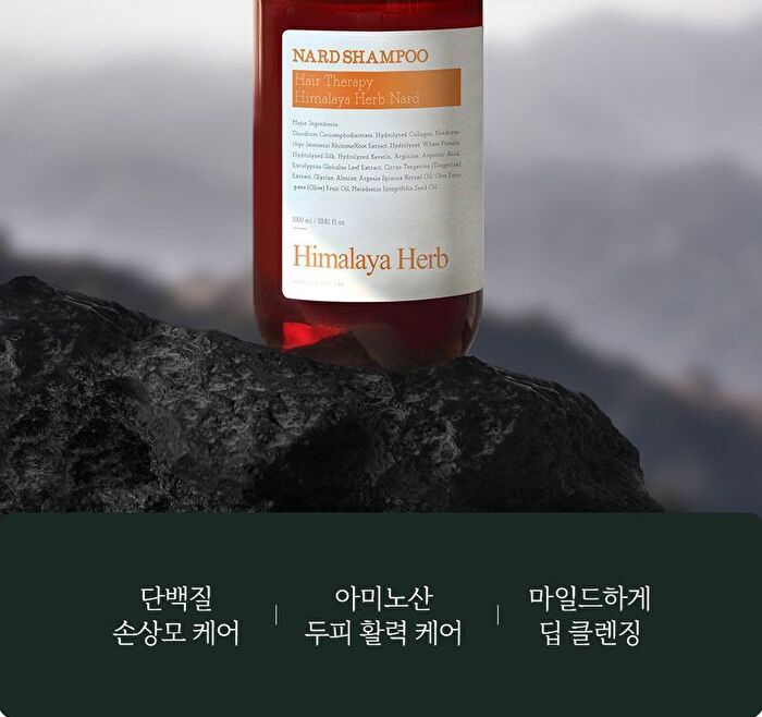 Nard Shampoo - 4 Types - Signature