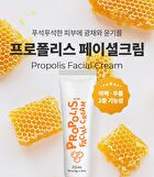 Facial Cream - 6 Types - Cica Centella