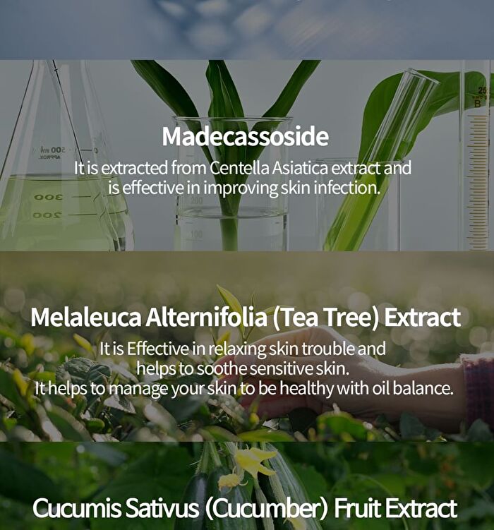 Facial Cream - 6 Types - Cica Centella