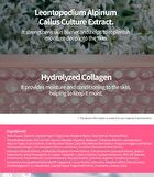Facial Cream - 6 Types - Cica Centella