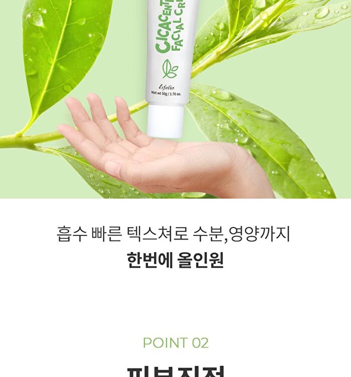 Facial Cream - 6 Types - Cica Centella