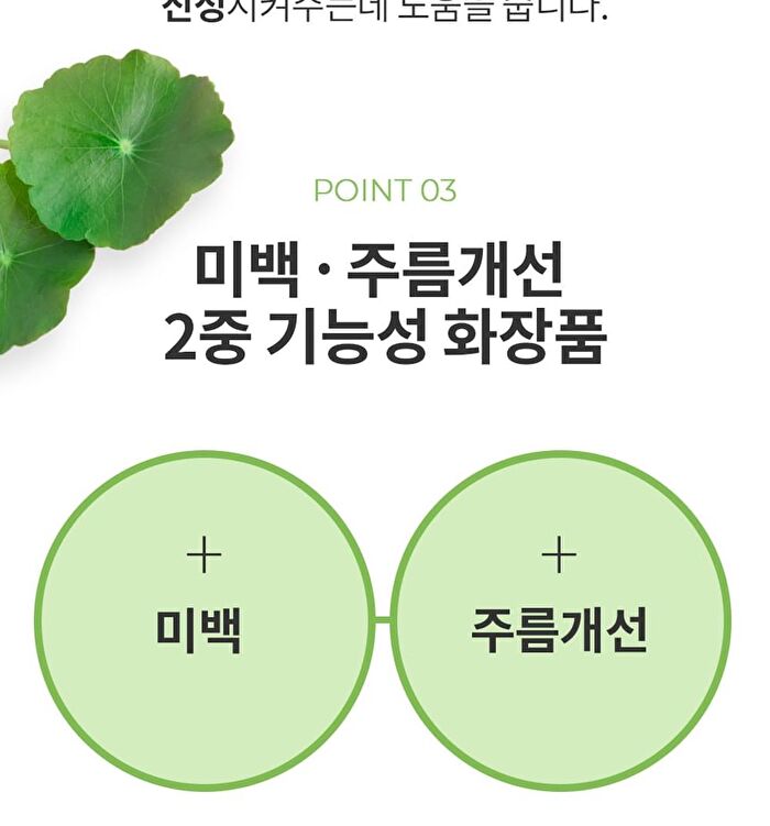 Facial Cream - 6 Types - Cica Centella