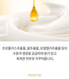 Facial Cream - 6 Types - Hyaluronic Acid