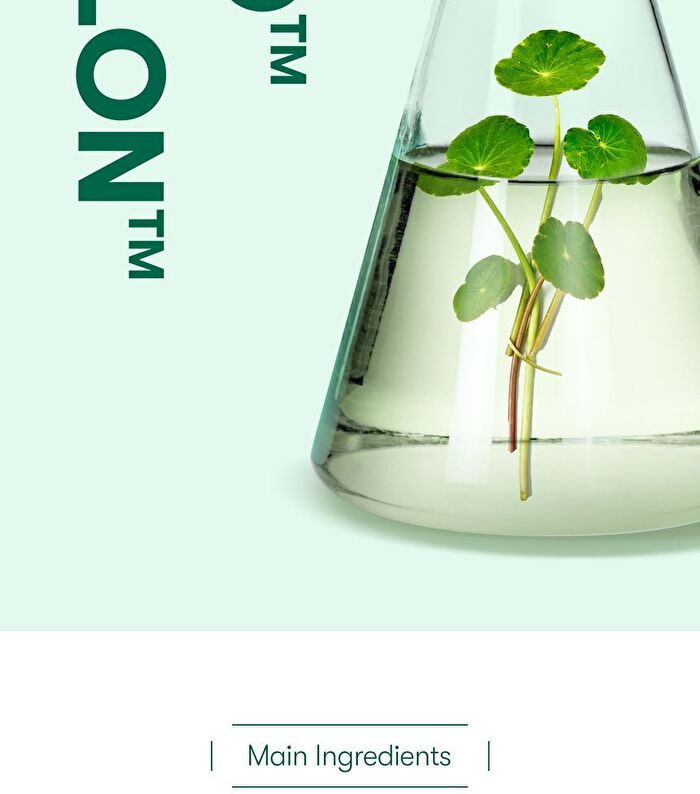 Vt Cica No Sebum Mild Powder - 5g