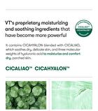 Vt Cica No Sebum Mild Powder - 5g