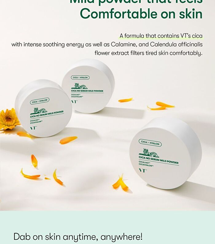 Vt Cica No Sebum Mild Powder - 5g
