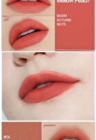Fixing Tint - 11 Colors - #07 Cranberry Plum