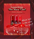 Black Rouge Mara Hot Water Tint - 6 Colors - LV01 Spicy Mara