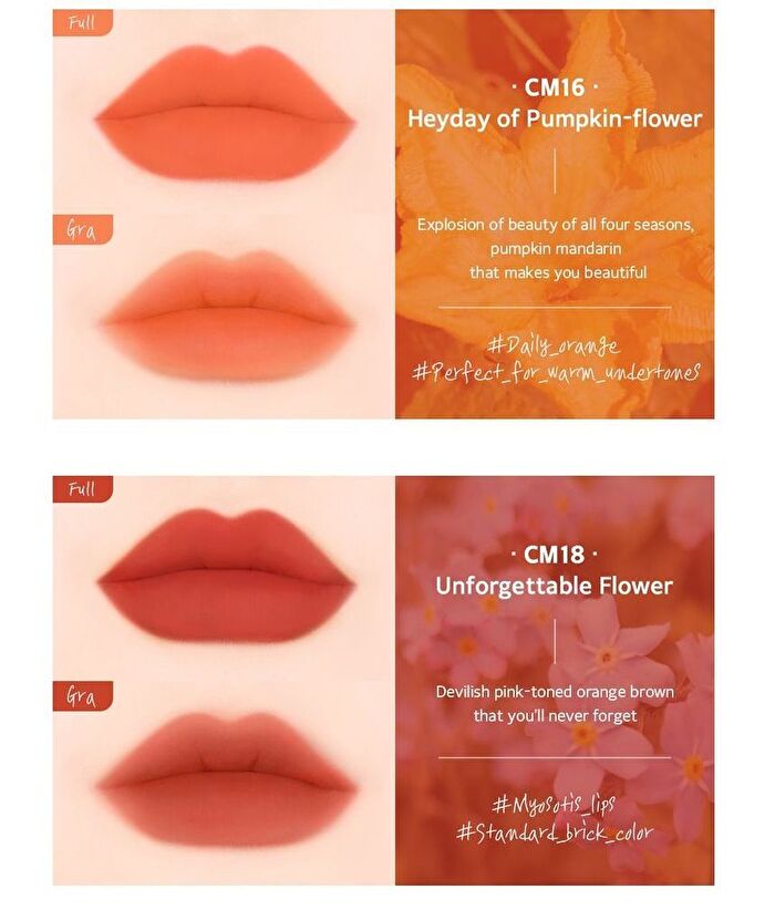Black Rouge Cream Matt Rouge 3 - 10 Colors - CM13 Delicate Rose