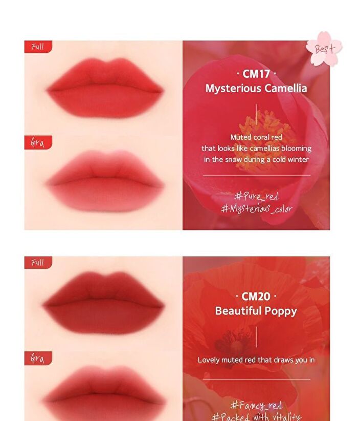 Black Rouge Cream Matt Rouge 3 - 10 Colors - CM19 When the Balsam Blooms
