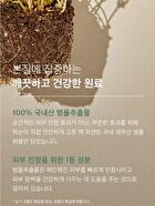 Essence Jumbo - 12 Types - Mung Bean Seed