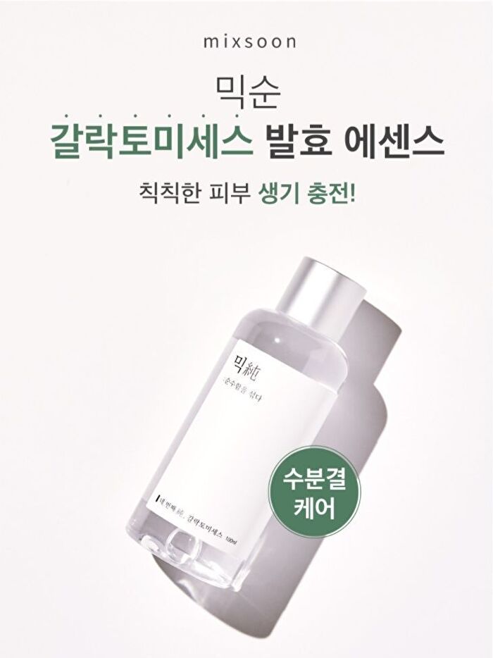 Essence Jumbo - 12 Types - Mung Bean Seed