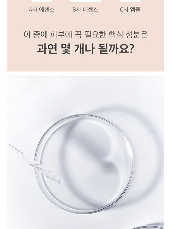 Essence Jumbo - 12 Types - Mung Bean Seed