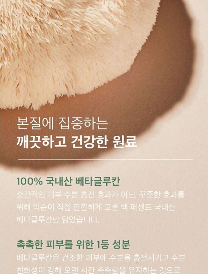 Essence Jumbo - 12 Types - Mung Bean Seed