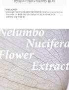 mixsoon Essence Jumbo - 12 Types - Daisy