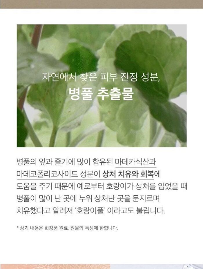 mixsoon Essence Jumbo - 12 Types - Daisy