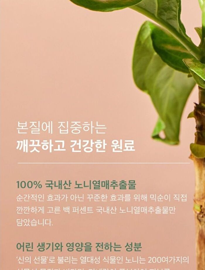 mixsoon Essence Jumbo - 12 Types - Lotus Flower