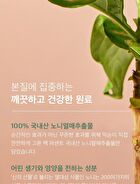 mixsoon Essence Jumbo - 12 Types - Lotus Flower