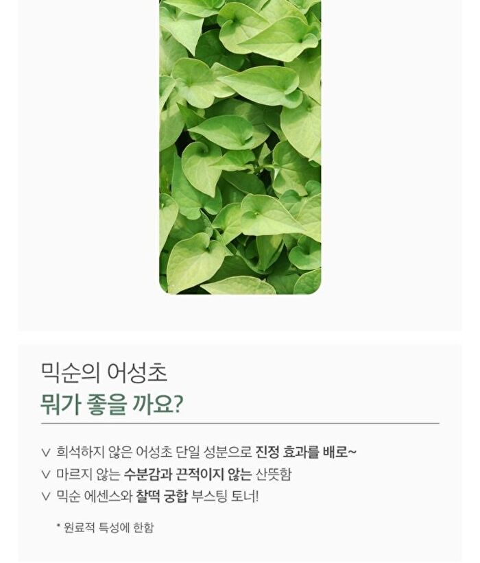 mixsoon Toner 300ml - 5 Types - Bifida