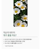 mixsoon Toner 300ml - 5 Types - Heartleaf
