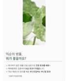 Toner 300ml - 5 Types - Daisy