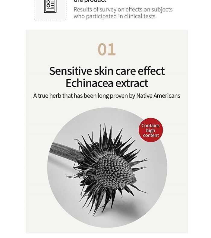 Rawquest Echinacea Calming Moisture Cream - 50ml