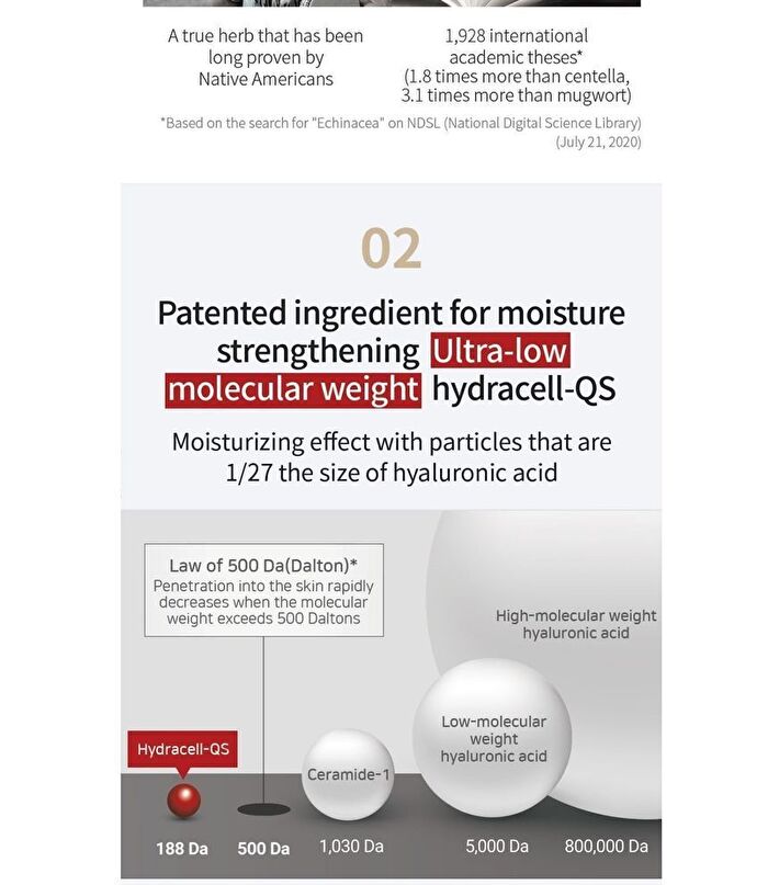 Rawquest Echinacea Calming Moisture Gel Cream - 50ml