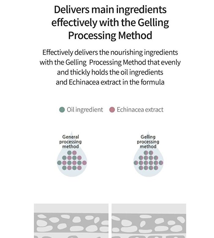 Rawquest Echinacea Calming Moisture Ampoule - 50ml