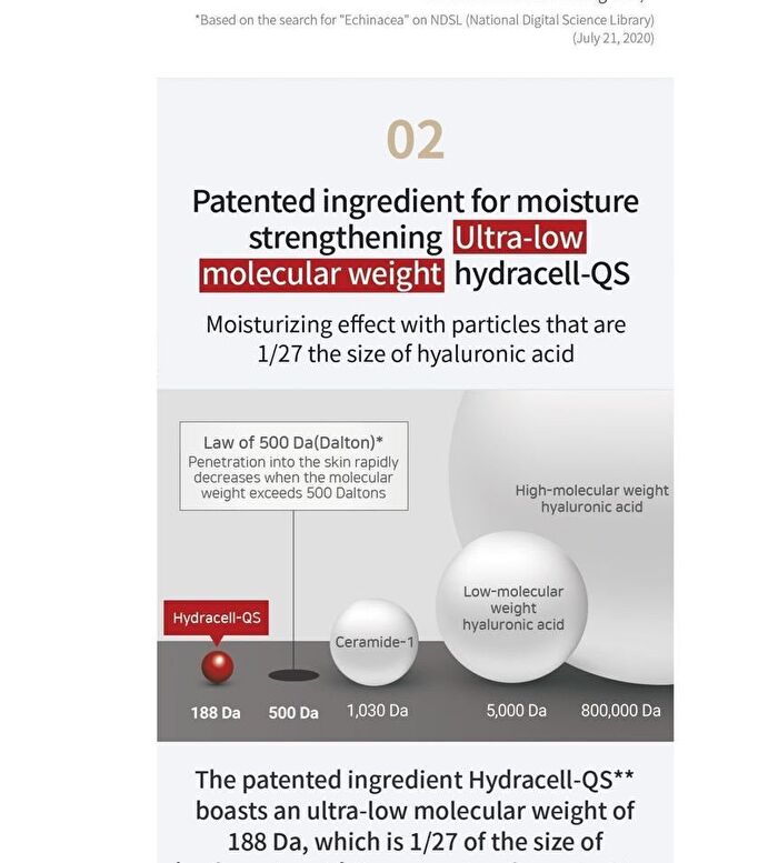 Rawquest Echinacea Calming Moisture Mask - 28ml