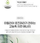 The First Rosemary Serum - 180ml