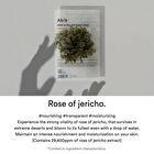 Mild Acidic pH Sheet Mask - 6 Types - Jericho Rose Fit