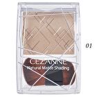 Natural Matte Shading - 01 Warm Tone