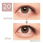 Drawing Double Eyelid Eyeliner - 20 Greige