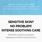 SKIN1004 Madagascar Centella Hyalu-Cica Cloudy Mist - 2024 Version - 120ml