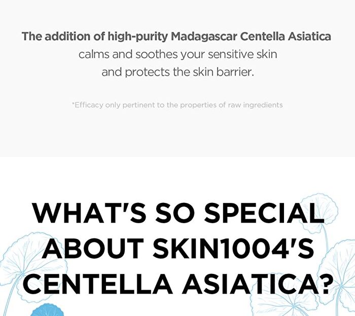 SKIN1004 Madagascar Centella Hyalu-Cica Cloudy Mist - 2024 Version - 120ml