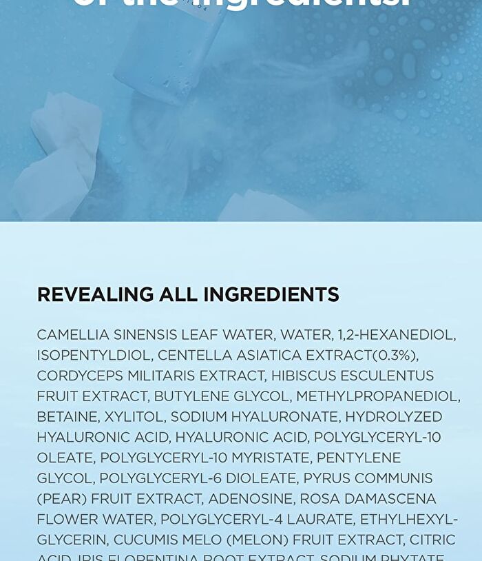 SKIN1004 Madagascar Centella Hyalu-Cica Cloudy Mist - 2024 Version - 120ml