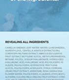 SKIN1004 Madagascar Centella Hyalu-Cica Cloudy Mist - 2024 Version - 120ml